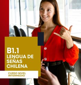 Instituto Enseñame - Curso Nivel Básico B1.1 Lengua de señas chilena
