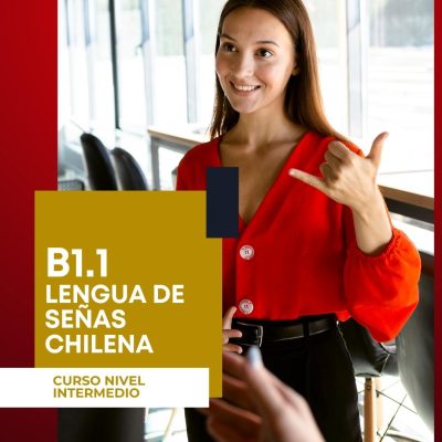 Instituto Enseñame - Curso Nivel Básico B1.1 Lengua de señas chilena