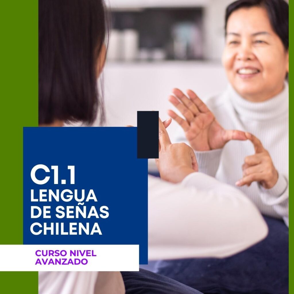 Instituto Enseñame - Curso Nivel Avanzado C1.1 Lengua de señas chilena